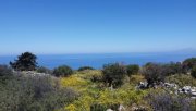 Kefalas Chania Kreta, Kefalas Chania: Großes Grundstück mit unverbautem Meer- und Bergblick zu verkaufen Grundstück kaufen